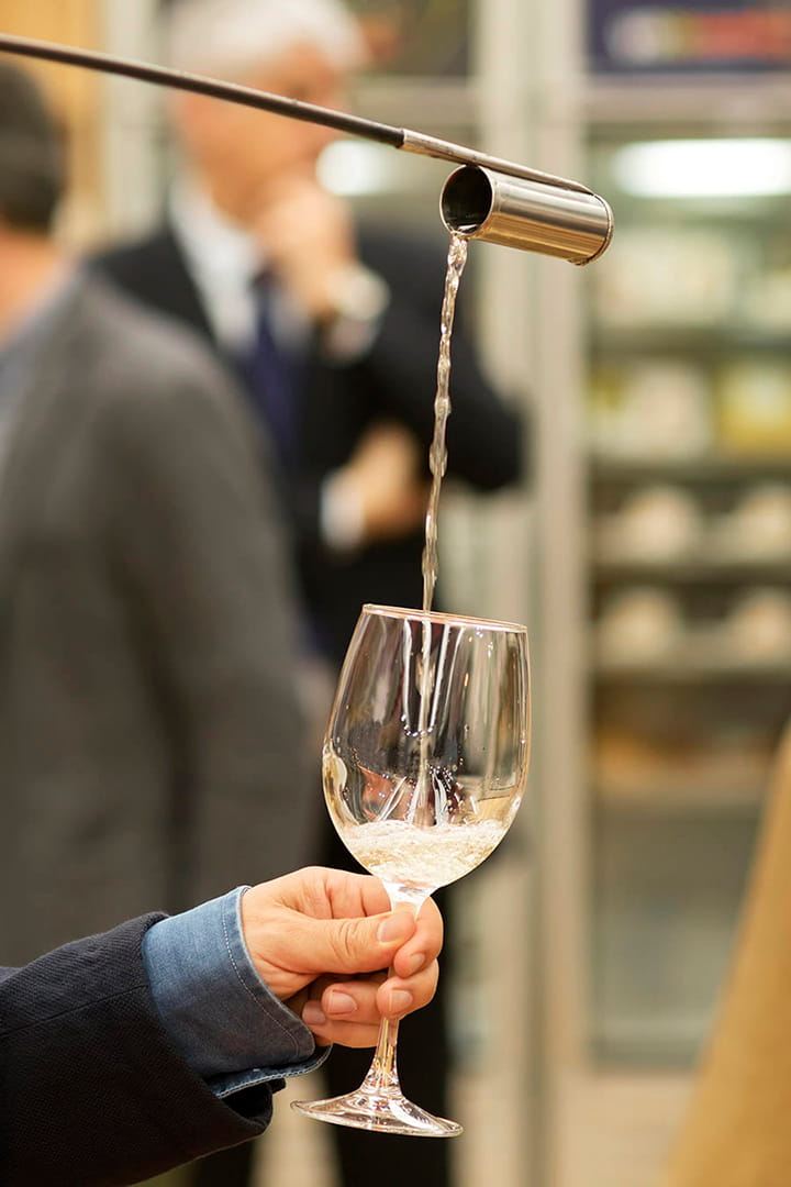 Vino Moscatel